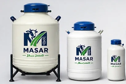 Liquid nitrogen tanks